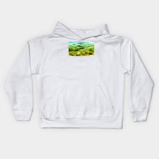 Underwater Landscape Vista Kids Hoodie